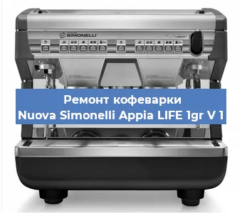 Чистка кофемашины Nuova Simonelli Appia LIFE 1gr V 1 от кофейных масел в Екатеринбурге